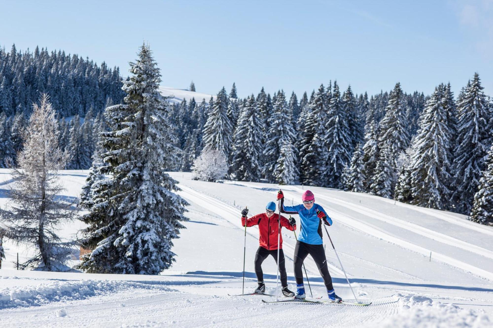 Ferienwohnung Seeblick Nr 5, 2 Zi-Baerental, Feldberg Rotwasser Kültér fotó