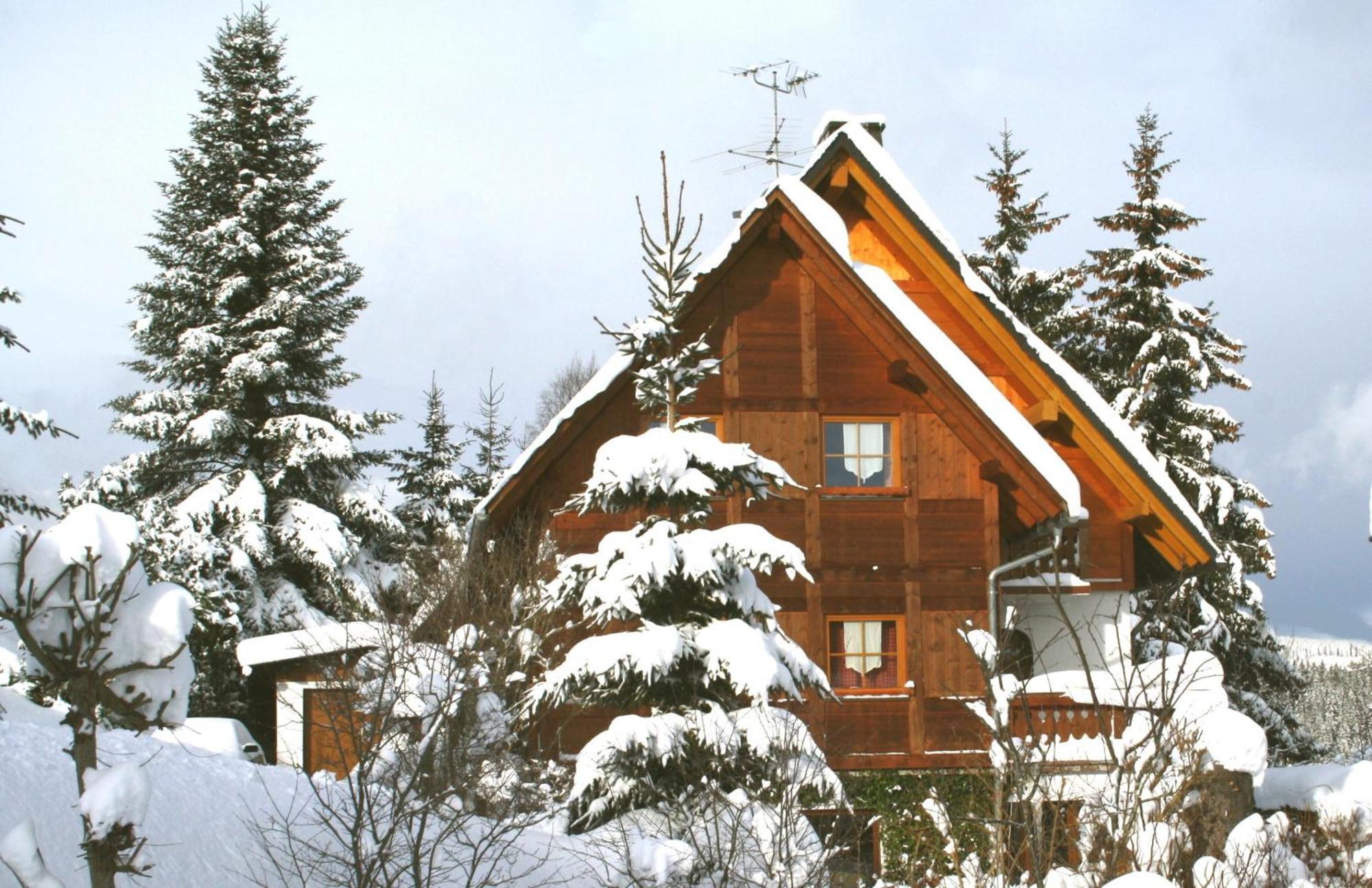 Ferienwohnung Seeblick Nr 5, 2 Zi-Baerental, Feldberg Rotwasser Kültér fotó