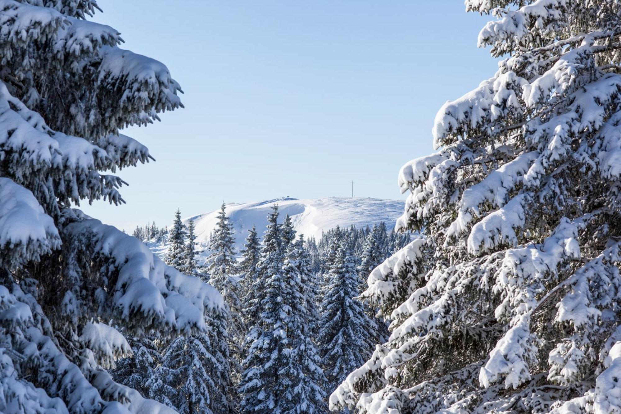 Ferienwohnung Seeblick Nr 5, 2 Zi-Baerental, Feldberg Rotwasser Kültér fotó