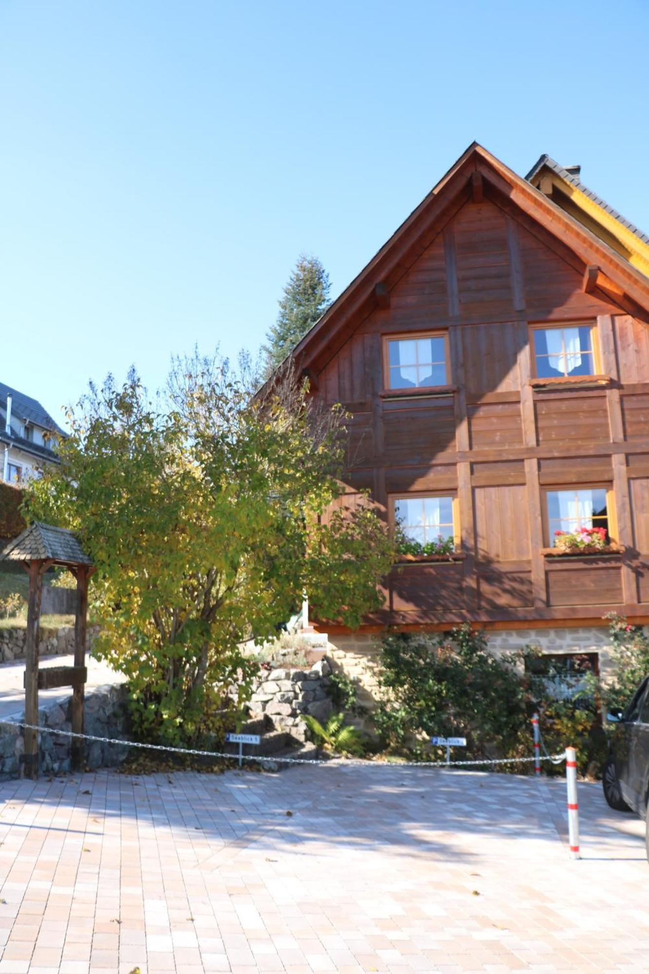 Ferienwohnung Seeblick Nr 5, 2 Zi-Baerental, Feldberg Rotwasser Kültér fotó