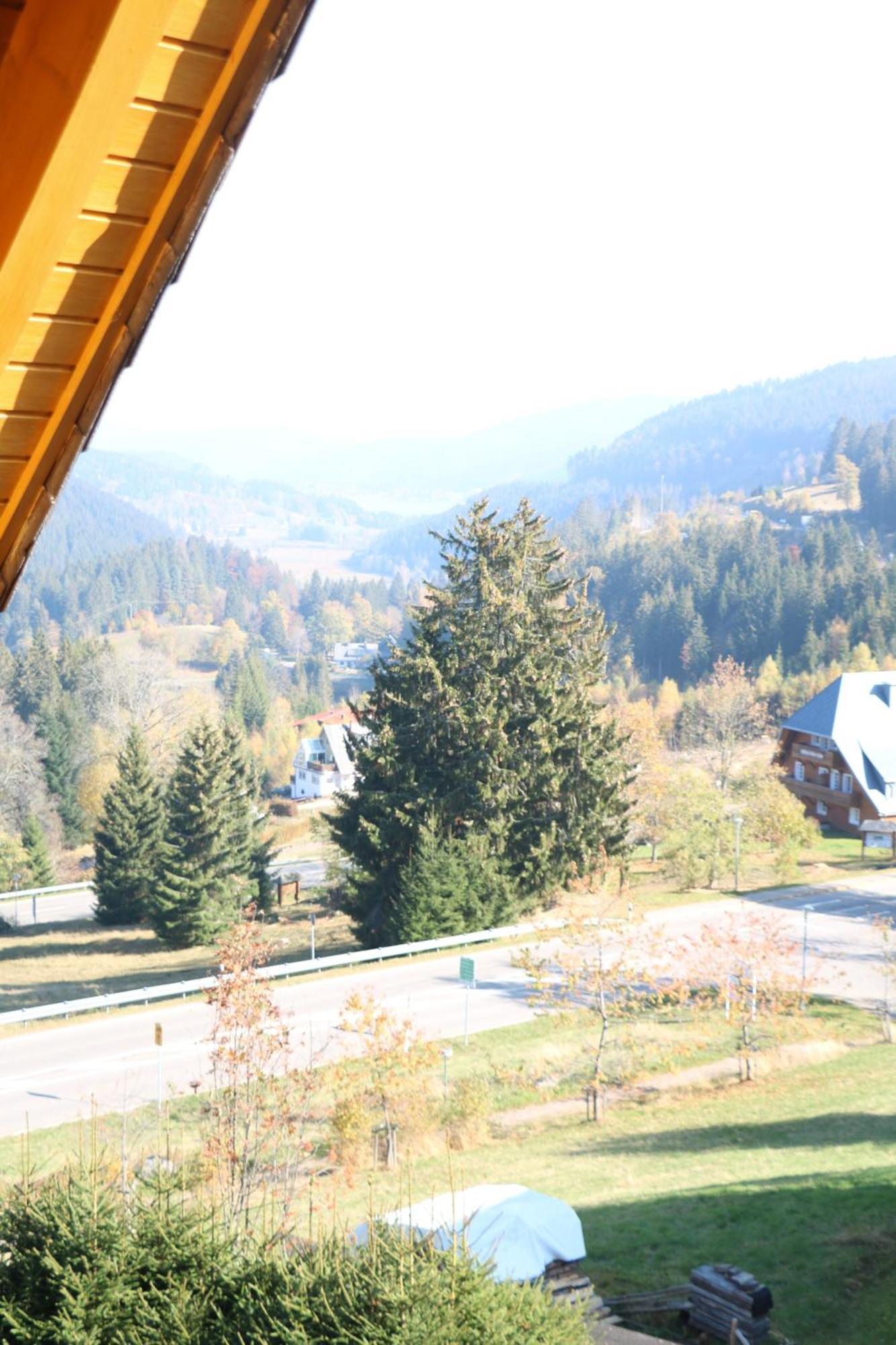 Ferienwohnung Seeblick Nr 5, 2 Zi-Baerental, Feldberg Rotwasser Kültér fotó