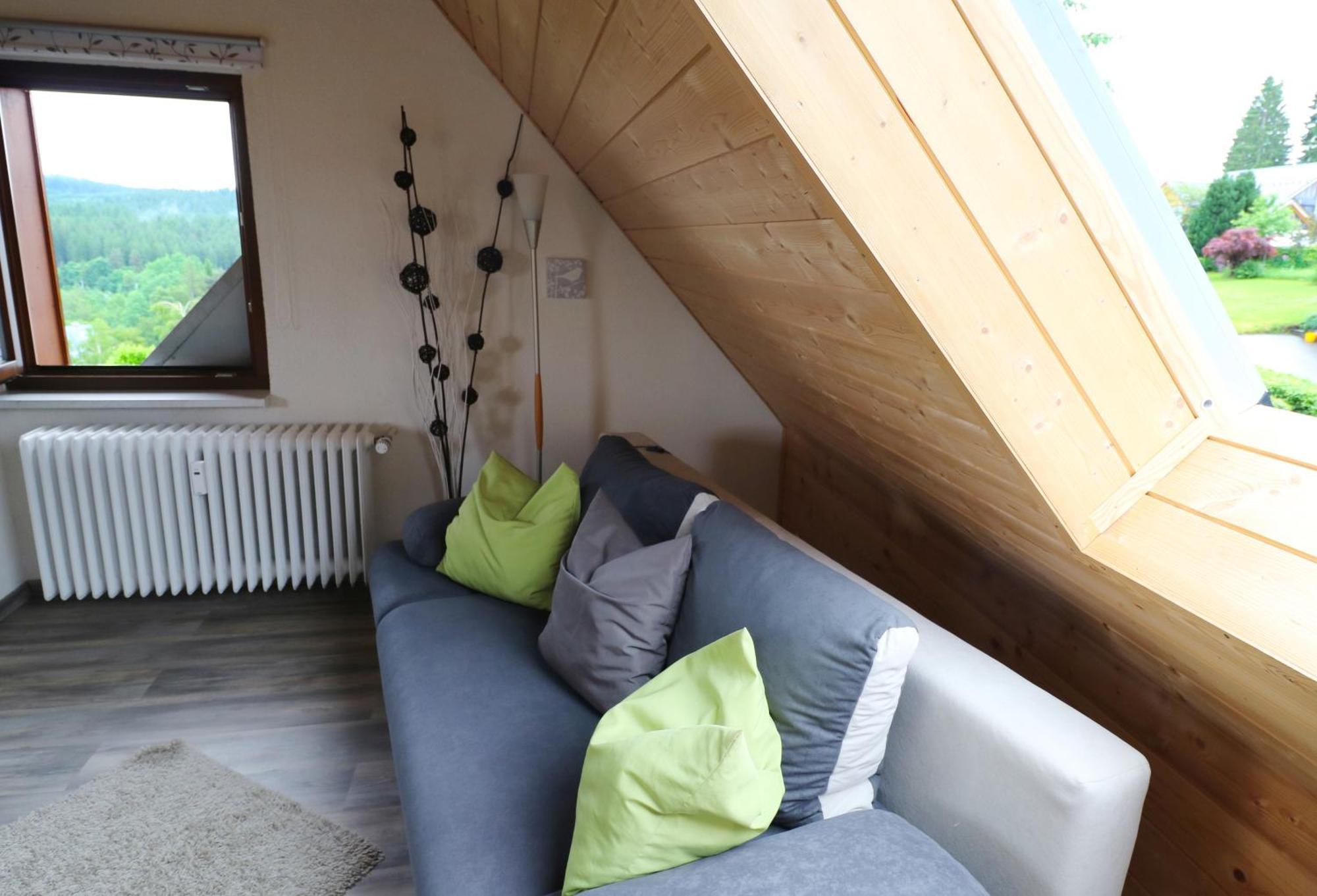 Ferienwohnung Seeblick Nr 5, 2 Zi-Baerental, Feldberg Rotwasser Kültér fotó